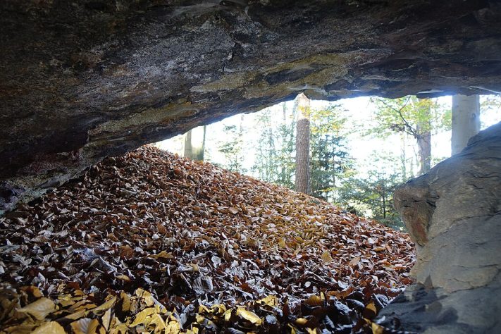 Grota - Wikimedia Commons/Jerzy Opioła