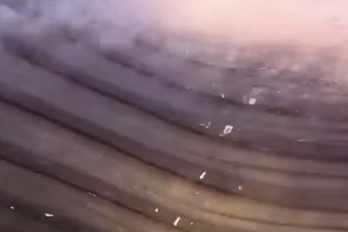 Guia turístico brasileiro levou um susto e quase foi engolido por baleia-jubarte na Noruega - Reprodução/RecordTV