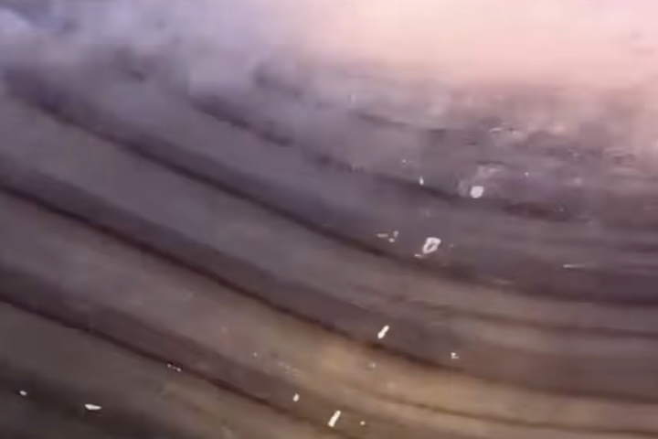 A interação foi tão próxima que ele chegou a tocar na barbatana do animal, que tem cerca de 16 metros e pesa quase 40 toneladas. 