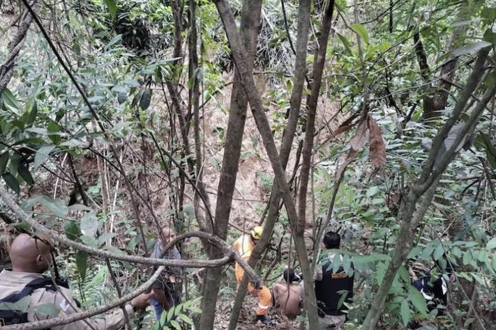 Homem sobrevive só comendo mangas após cair em grota em MG - Divulgação/Corpo de Bombeiros