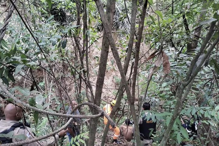 Homem sobrevive só comendo mangas após cair em grota em MG - Divulgação/Corpo de Bombeiros