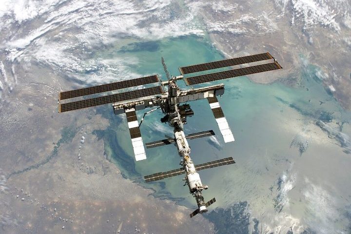 <p>Um experimento fixou a planta do lado de fora da Estação Espacial Internacional (ISS), onde permaneceu por nove meses exposta ao vácuo, à radiação ultravioleta e a oscilações extremas de temperatura.</p>

