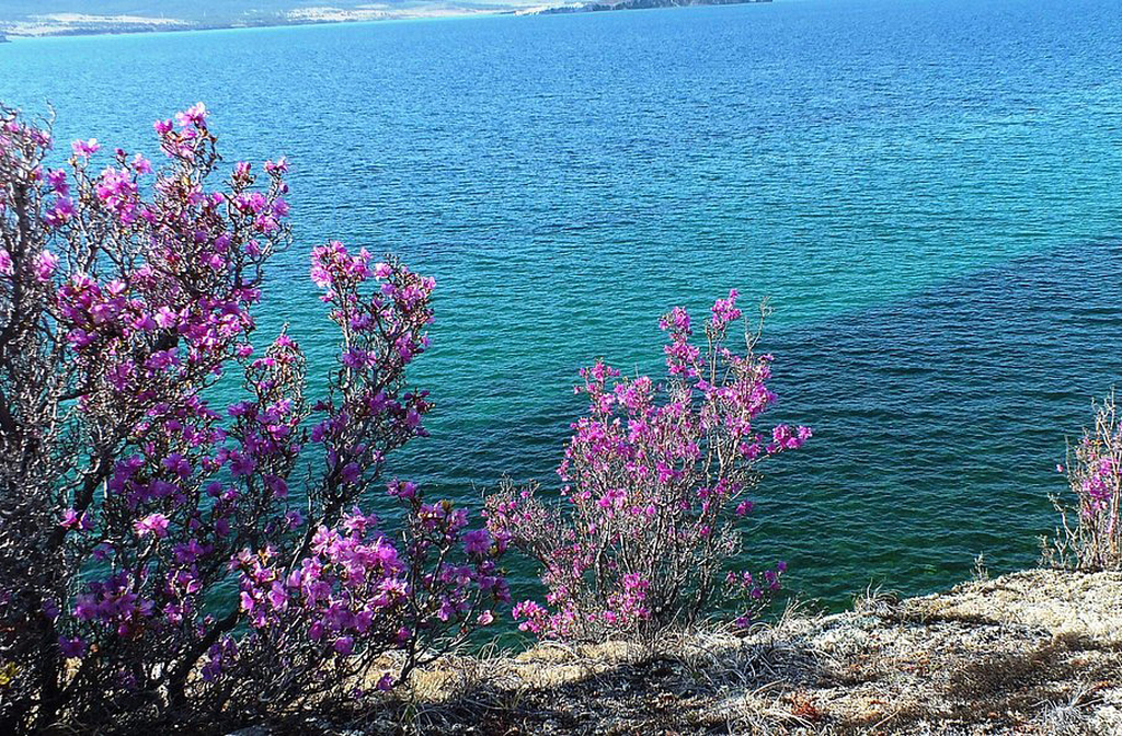 No verão, o lago se transforma em um paraíso de águas límpidas e trilhas verdes. As margens ficam cobertas por flores silvestres e pinheiros. A temperatura da água sobe para cerca de 10? graus, atraindo aventureiros para mergulhos gelados. É o momento ideal para explorar de barco ou caiaque.