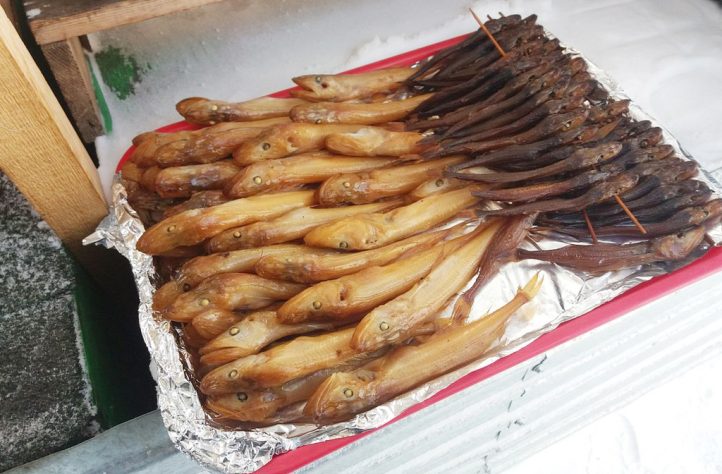 Peixes endêmicos