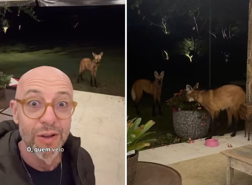 Marcel, responsável pelo escritório Allamanda Paisagismo, comentou com bom humor, em entrevista divulgada pela 