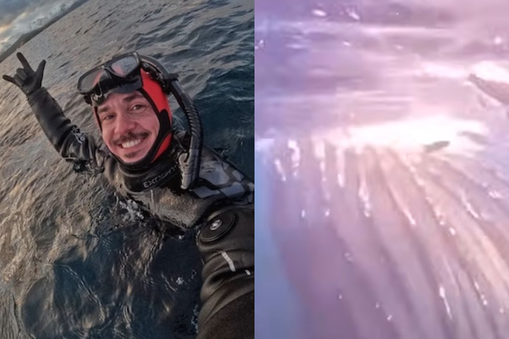 Ítalo Garcia Alves, Guia turístico brasileiro levou um susto e quase foi engolido por baleia - Montagem/Reprodução/Redes Sociais