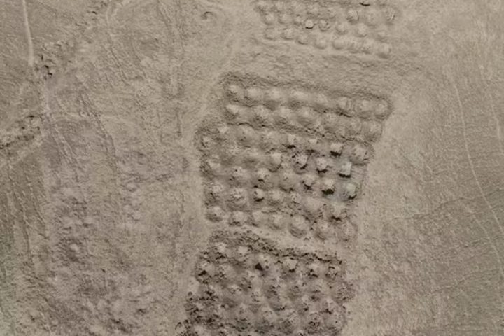 Os pesquisadores utilizaram drones para mapeamento de alta resolução e realizaram análises microscópicas de sedimentos.