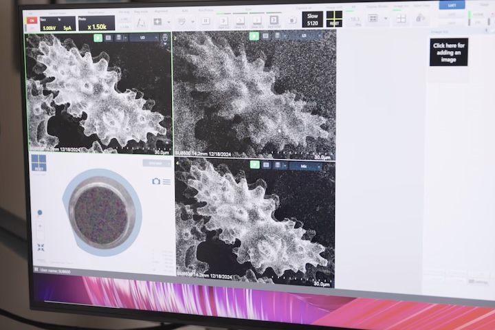 Agora, a pesquisa conta com recursos tecnológicos mais avançados, como imagens subaquáticas em alta resolução, técnicas de aprendizado de máquina e análise de DNA presente na água do mar.