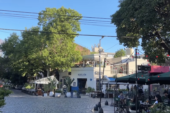 Palermo é dividido em seis sub-bairros: Palermo Soho, Palermo Viejo, Palermo Hollywood, Villa Freud, Las Cañitas e Palermo Chico. 