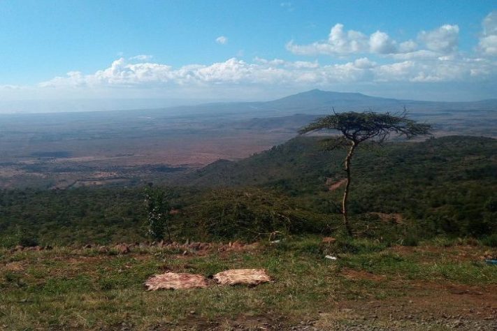 Vale do Rift, Etiópia - Wikimedia Commons/Ndunguwanjoroge