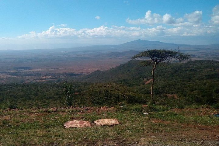 A região do entorno do Hayli Gubbi é o Vale do Rift, um dos acidentes geográficos mais importantes do planeta.