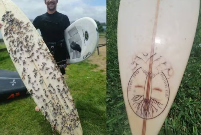 Homem encontra prancha perdida no mar há 18 meses e devolve ao dono
