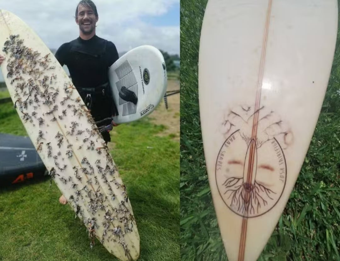 Homem encontra prancha perdida no mar há 18 meses e devolve ao dono