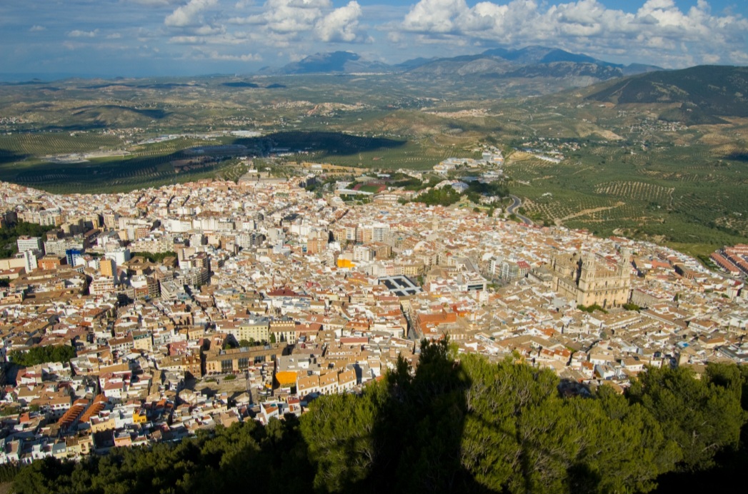 O registro ocorreu nas montanhas da província de Jaén, no sul da Espanha, uma das últimas áreas onde essa espécie está presente de forma selvagem.