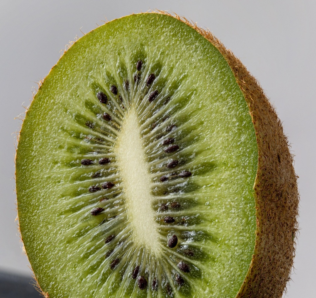 Apesar das diferenças de cor e sabor entre os tipos de kiwi, o perfil nutricional costuma ser muito semelhante. A polpa pode ser verde, como ocorre na espécie Actinidia deliciosa, ou amarela, presente na Actinidia chinensis, que costuma apresentar acidez menor.