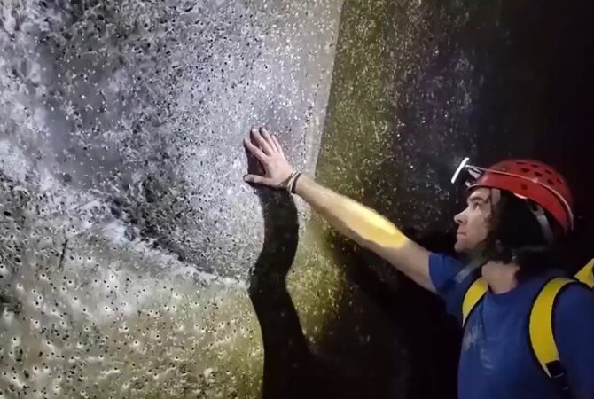 Teia colossal surpreende cientistas e revela comportamento inédito entre aranhas