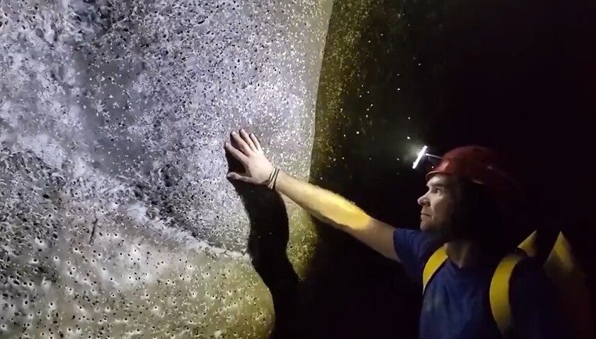 O ambiente extremo da caverna, marcado pela presenÃ§a de sulfureto de hidrogÃªnio, parece ter favorecido um comportamento cooperativo nunca antes observado em espÃ©cies consideradas solitÃ¡rias. A formaÃ§Ã£o da colÃŽnia foi notada em 2022 por espeleÃ³logos.