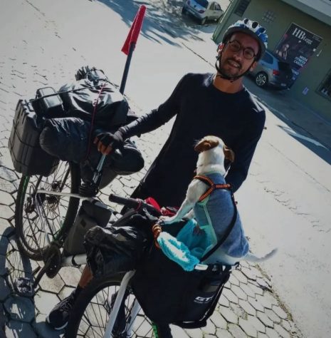 Ciclista percorre 12 mil km por 11 estados com cachorra após superar câncer em estágio terminal - Reprodução @ociclistaviajante