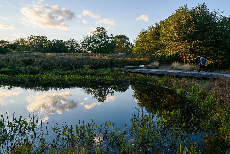 Nas proximidades fica o New York Botanical Garden, um vasto jardim botânico que preserva milhares de espécies de plantas e ainda realiza exposições e pesquisas científicas. 
