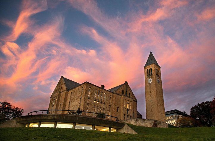 Professor e diretor em Cornell