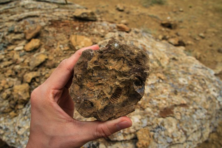 Meteoritos - GWANGJIN GO/Unsplash