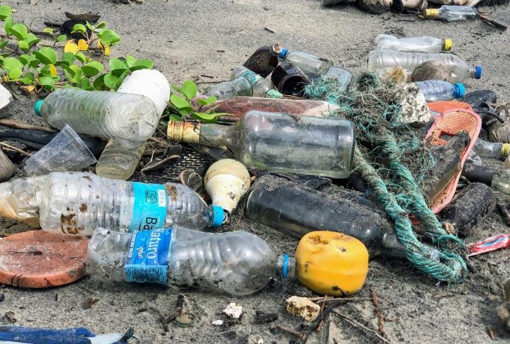 A expectativa é de que esta COP marque menos debates teóricos e mais foco em implementação de políticas e compromissos concretos, transformando declarações em ações palpáveis.-John Cameron/Unsplash