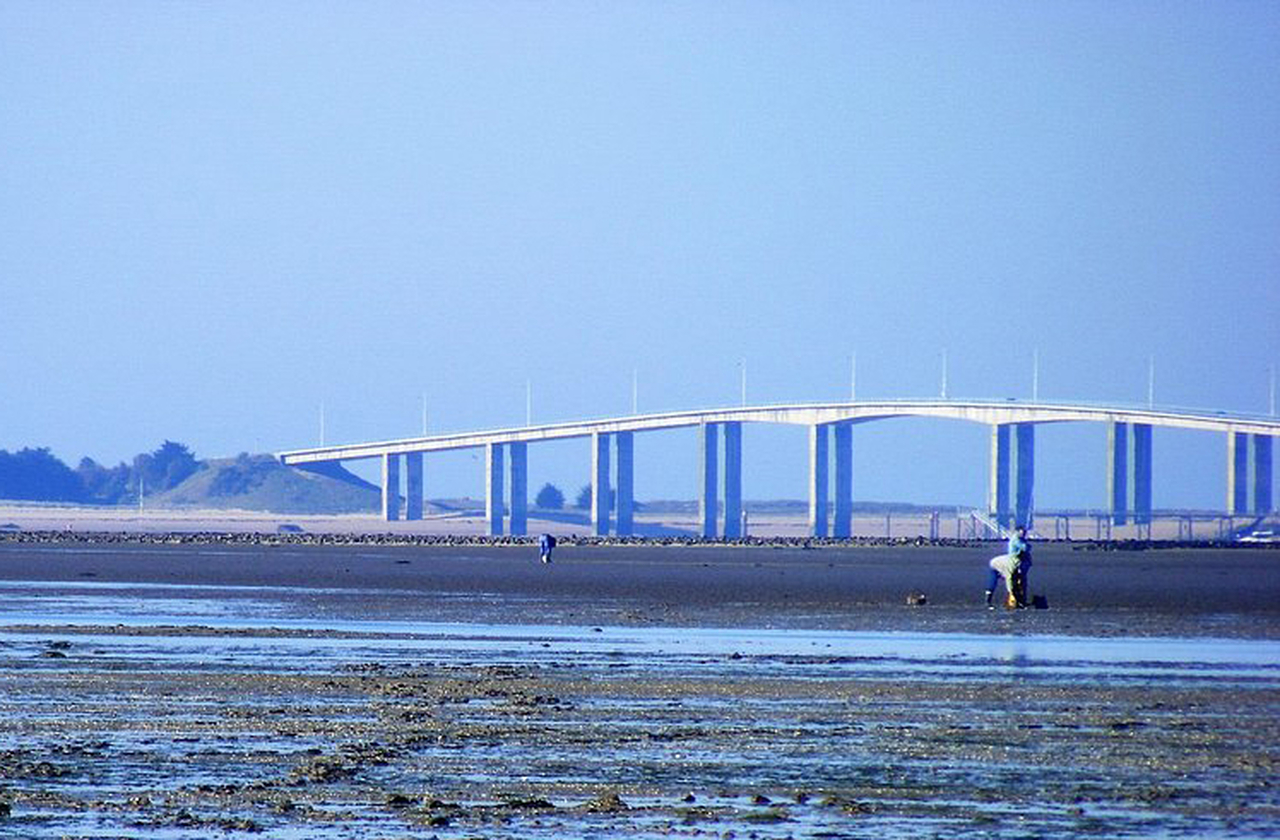 A construÃ§Ã£o de pontes modernas reduziu a dependÃªncia da passagem. Hoje, hÃ¡ alternativas seguras para chegar Ã  ilha. No entanto, o Gois continua sendo sÃ­mbolo cultural e turÃ­stico, preservado como patrimÃŽnio vivo.