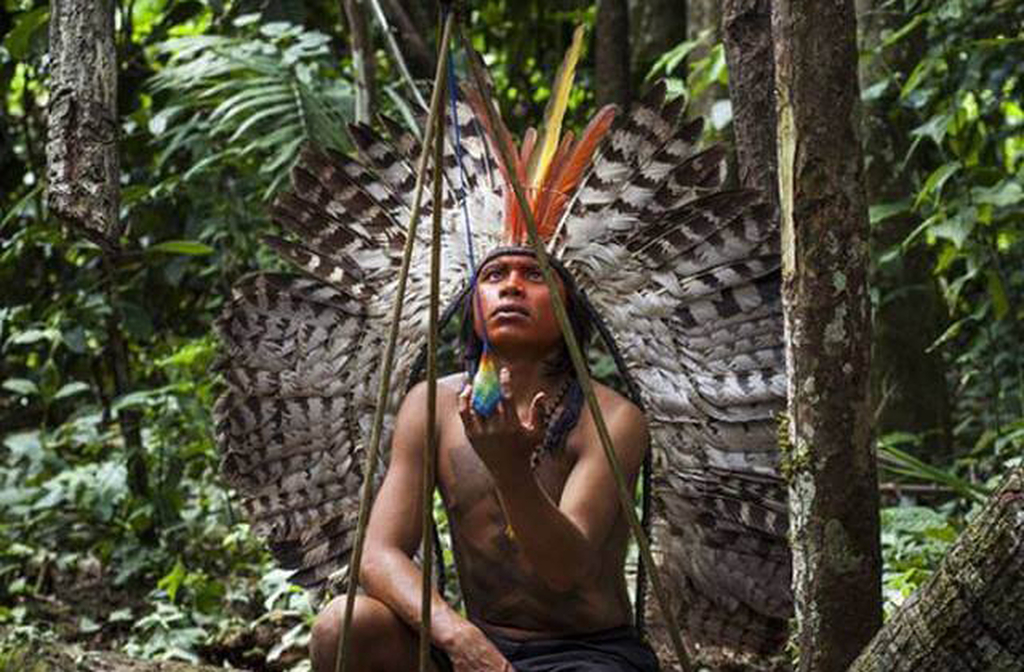 Para os povos indígenas, o Monte Roraima é sagrado. A etnia Pemon acredita que o tepui é o tronco da árvore da vida, que continha todos os frutos do mundo. Ao ser derrubada, originou rios e montanhas. Essas narrativas reforçam sua aura mítica.
