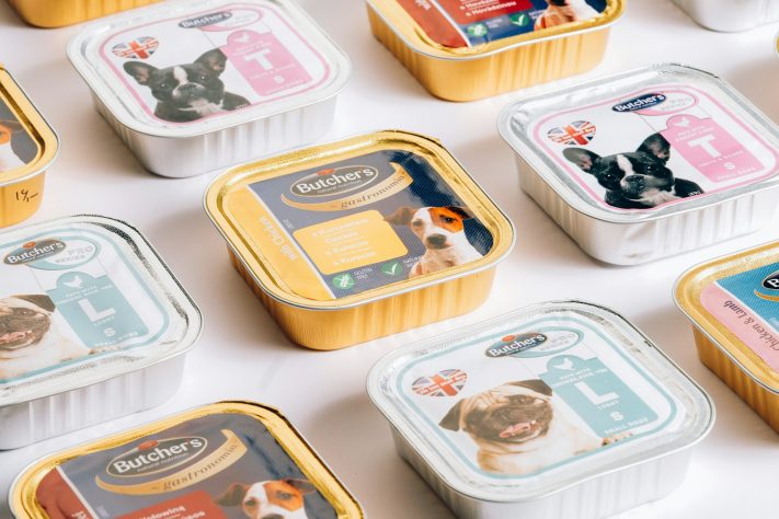 Produtos para pets - Sam Moghadam/Unsplash