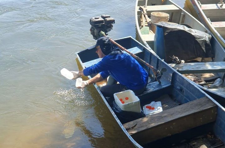 Meio ambiente: desafios e recuperação