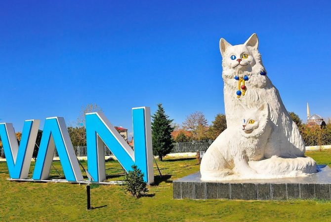 A cidade turca em que a tradição genética salta aos olhos como patrimônio vivo