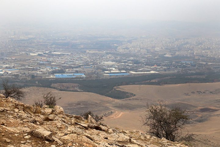 Eles diagnosticam uma 