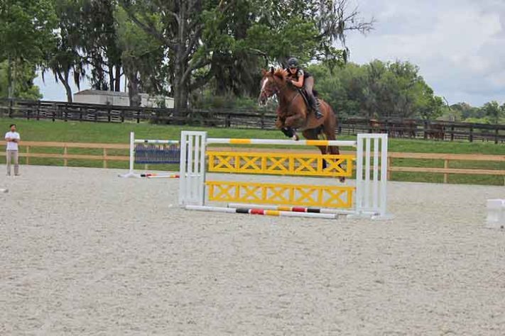 Capital Mundial do Cavalo 