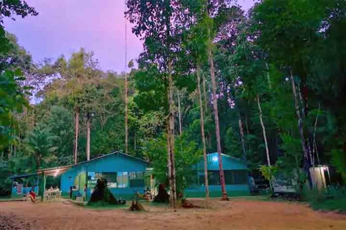 Observatório da Torre Alta da Amazônia