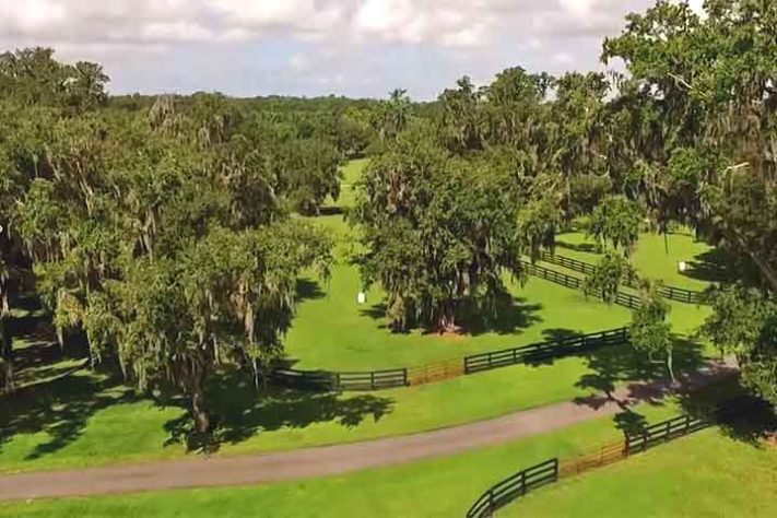 Capital Mundial do Cavalo 