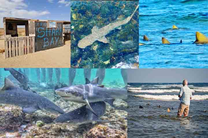 Formado por dez ilhas de origem vulcânica, o arquipélago se destaca pela diversidade de paisagens, que vão desde extensas áreas áridas até montanhas imponentes, vales férteis e praias de águas transparentes que atraem visitantes do mundo inteiro. 
