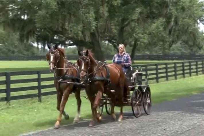 Capital Mundial do Cavalo 