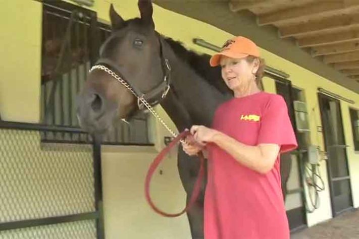 Capital Mundial do Cavalo 