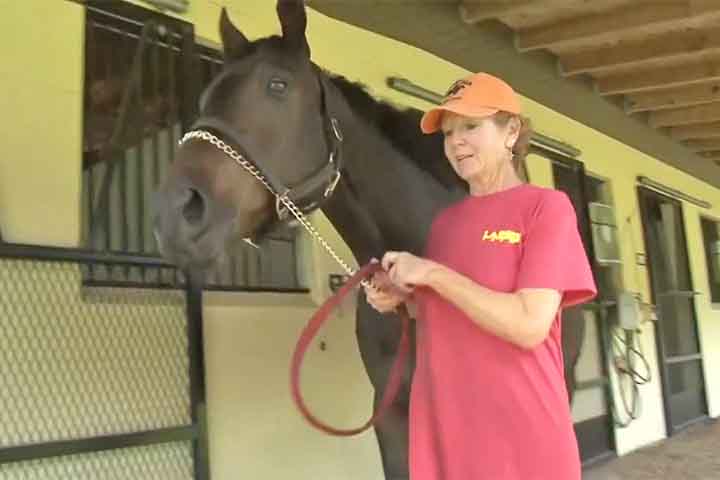 O local conta com um peso econômico, paisagismo protegido, turismo rural e política de uso do solo voltada à permanência da atividade equestre como identidade territorial.