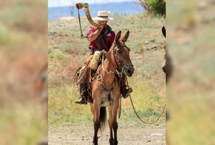 Engenheiro brasileiro quer atravessar 10 mil km dos Estados Unidos ao Brasil montado em mula - Arquivo Pessoal/Pedro Henrique Biondo Matias