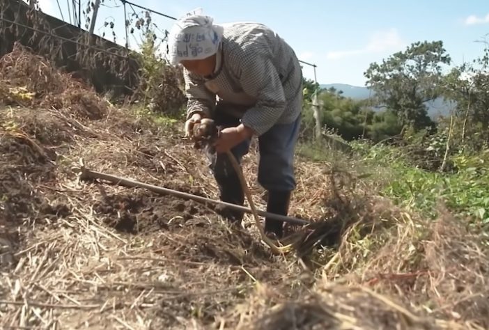 População agrícola do Japão está envelhecendo cada vez mais - Reprodução/YouTube