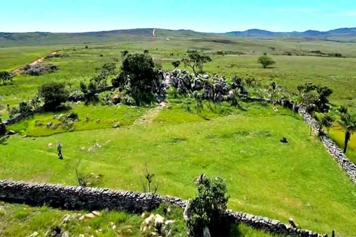 Serra da Canastra - Pato-Mergulhão na Serra da Canastra - Reprodução de vídeo Divulgação