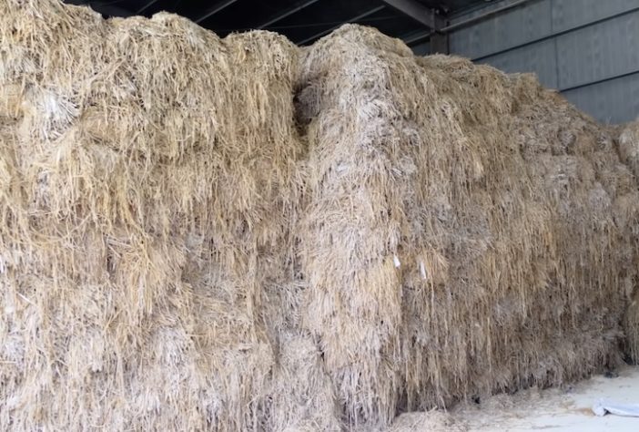 Papel Xuan, China tem técnica milenar tombada pela Unesco para fabricar o maior papel do mundo - Reprodução/YouTube