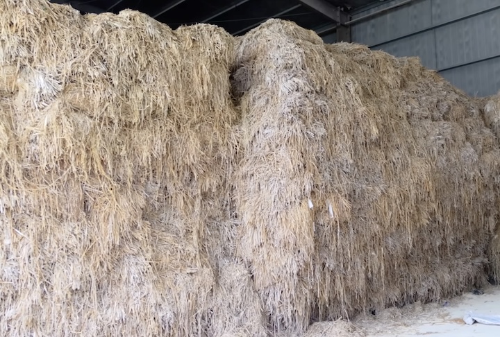 Por conta das suas fibras longas, a palha de arroz é a principal matéria-prima do Papel Xuan. Elas conferem resistência e flexibilidade à folha.  