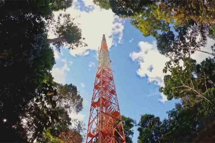 Observatório da Torre Alta da Amazônia