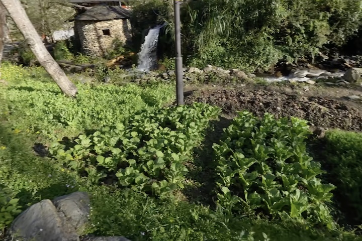 O cotidiano dos moradores é inteiramente focado na autossuficiência, sendo o cultivo de nozes a principal atividade local.