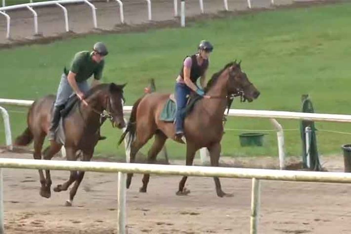 Capital Mundial do Cavalo 