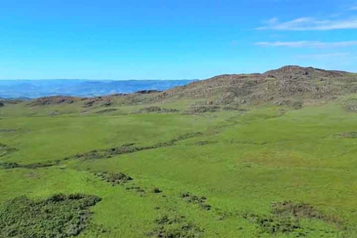 Serra da Canastra - Pato-Mergulhão na Serra da Canastra - Reprodução de vídeo Divulgação