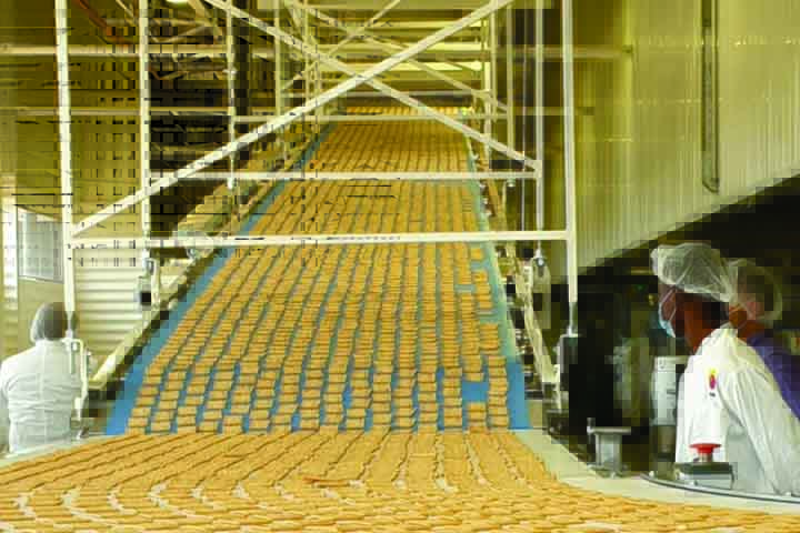 A criação do cream cracker é atribuída ao padeiro inglês Joseph Haughton, em 1885, na cidade de Dublin, na Irlanda. Ele aperfeiçoou técnicas de fermentação e cozimento para obter um biscoito leve, crocante e de longa validade.