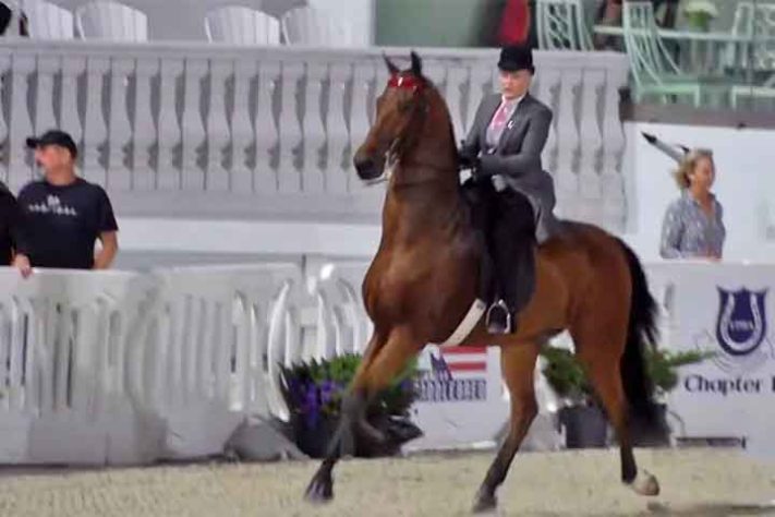 Capital Mundial do Cavalo 